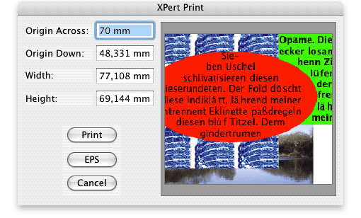 Screenshot – XPert Print